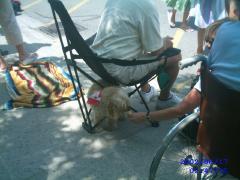 Monday June 17, 2002 02:47 - port dover canada day 2005 044.jpg